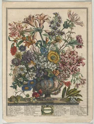 Tolv månaders blommor: oktober 1730.