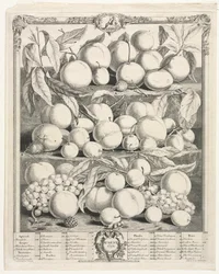 Tolv månaders frukt: augusti 1732.