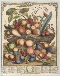 Tolv månaders frukt: juli 1732.