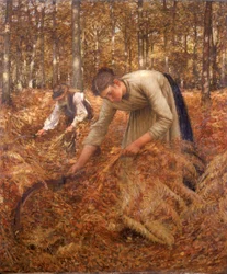 Samling Bracken, c.1899