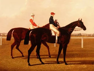 Hästarna "Charles XII" och "Euclid" med jockeyer uppåt
