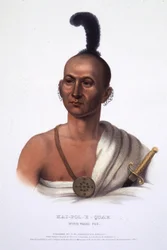 Kai-Pol-E-Quah, vitnosad räv