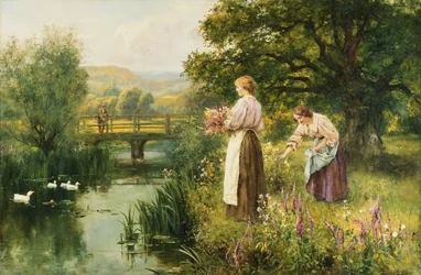 Samla vårblommor,