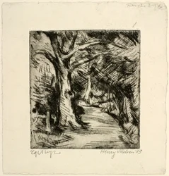 Skogsväg. Riis skog