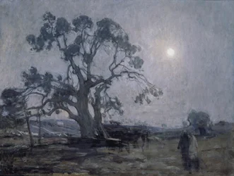 Abrahams ek, 1905.