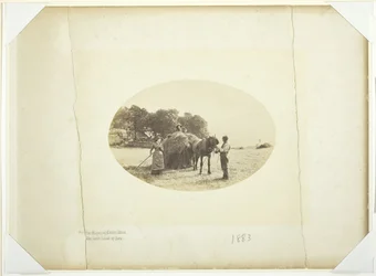 På Cader-Idris sluttningar, The Last Load of Hay, 1883.