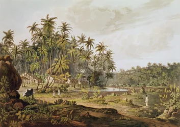Utsikt nära Point du Galle, Ceylon, graverad av Daniel Havell (1785-1826) publicerad 1809