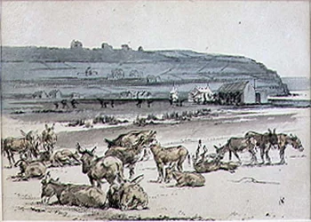 Åsnor på golfbanan, illustration från "Graphic" magazine, pub. c.1870 (lito)
