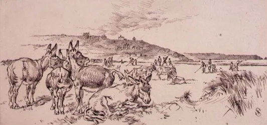 Åsnor på golfbanan, illustration från "Graphic" magazine, pub. c.1870 (lito)