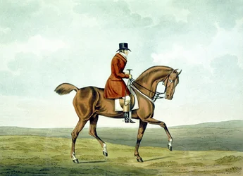 En Meltonian, As He Was, från 