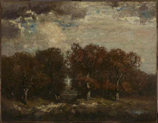 Vägen genom skogen