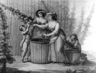 Humlplockare, graverad av William Dickinson, 1803