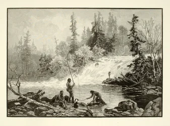 En öringpool på Nepignon