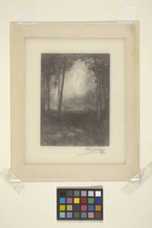 In The Adirondacks (bläck)