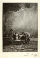 Oxen dricker