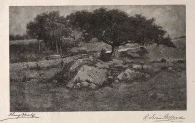 Vägkanten.