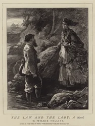 Lagen och damen, en roman