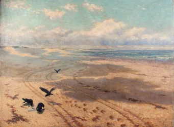 "Newton sands", 1889
