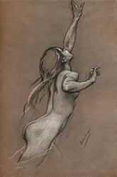 Studie av flygfiskar, omkring 1910