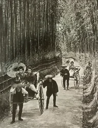 A Bamboo Avenue i Kyoto, 1910.
