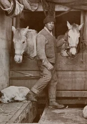 Kapten Oates och ponnyer på Terra Nova, c1910-1912, 1913.