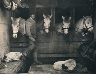 Kapten Oates, på Terra Nova med de sibiriska ponnyerna, c1911, 1914.