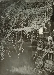Cherry-Blossom Time i Japan, 1910.