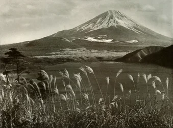 Fuji och Kaia-gräset, 1910.