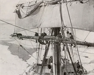 Rullsegel i flocken, c19101913, 1913