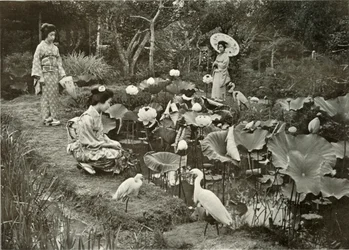 I Lotus-Land, 1910.