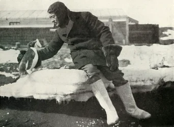 Lieut. Rennick och en vänlig pingvin, 1911, 1913