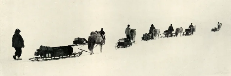 Ponnyer i mars 1911, 1913
