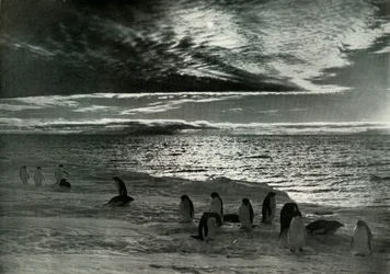 Midnattssolen i McMurdo Sound, c19101913, 1913