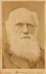Porträtt av Charles Darwin 1809-1882, 1881.