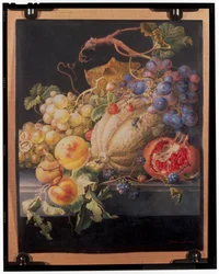 Frukt stilleben
