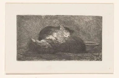 Två katter