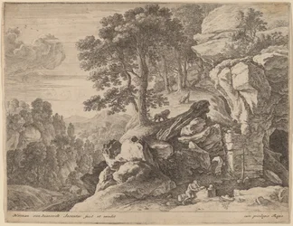 Saint Hieronymus i vildmarken