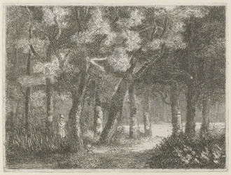 Hunter och hans hund i skogen