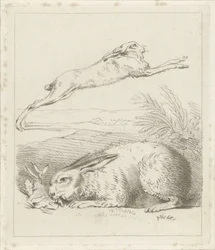 hare och kanin