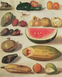Stilleben med frukt och padda