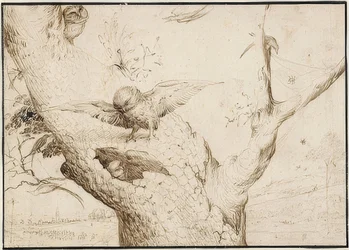 Eulennest. A 1505-10