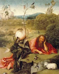 "" Johannes Döparen slumrade i naturen "" Målning av Hieronymus Van Aeken (Aken) säger Jerome Bosch (1450-1516) 1504-1505 Madrid. Lazaro Galdiano Foundation