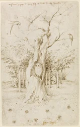 Skogen har öron, fältet har ögon, av Hieronymus Bosch (ca 1450-1516). Penna och brunt tusch på papper, storlek: 20,2 x 12,7, ca 1500-1515, Staatliche Museen, Berlin