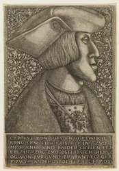 Karl V, tysk kejsare