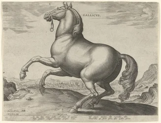 Häst från Frankrike (Gallicus) Gallicvs (titel på objekt) Hästaraser från Royal Stables of Don Juan of Austria (serietitel) Equile Ioannis Austriaci Caroli (serietitel)