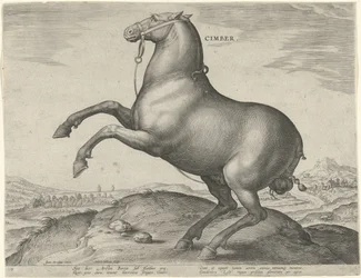 Häst från Scythia Cimber (titel på objekt) Hästaraser från Royal Stables of Don Juan of Austria (serietitel) Equile Ioannis Austriaci Caroli (serietitel)