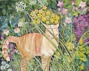 Cat and Long Grass, 1996
