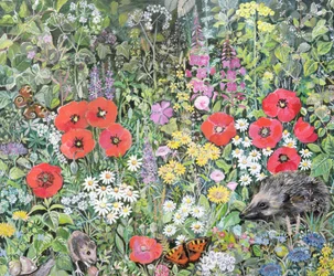 Igelkott bland blommorna