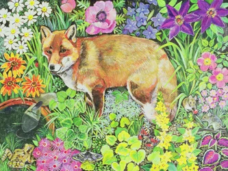 Barnet Fox