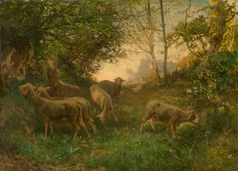 Får i skogsbrynet